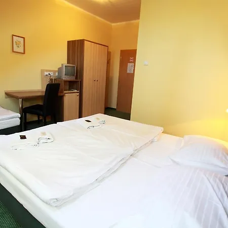Hotel U Divadla 3*