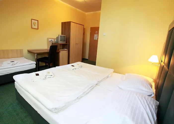 Hotell U Divadla 3*